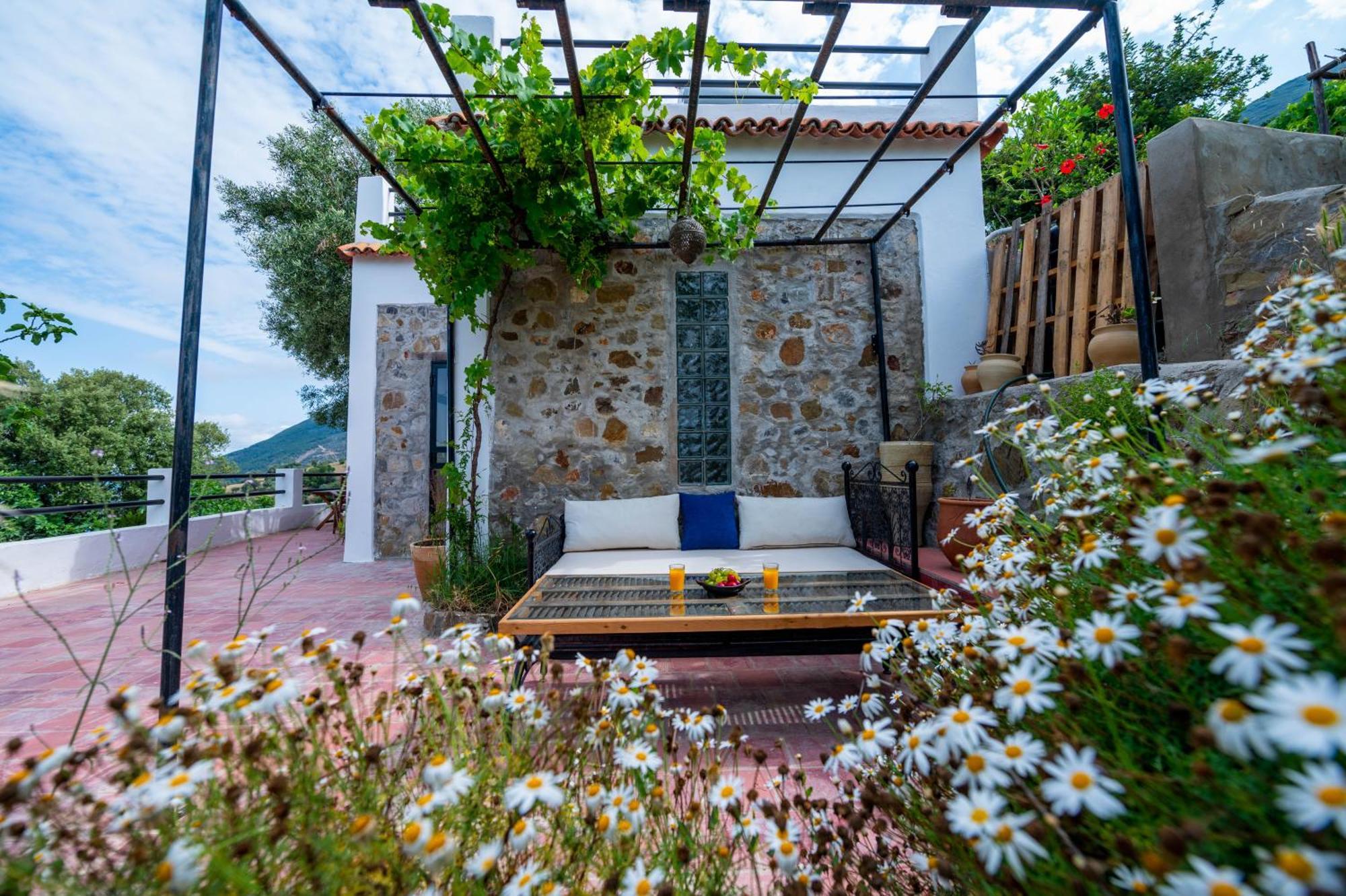 Farm Finn Chefchaouen Ngoại thất bức ảnh